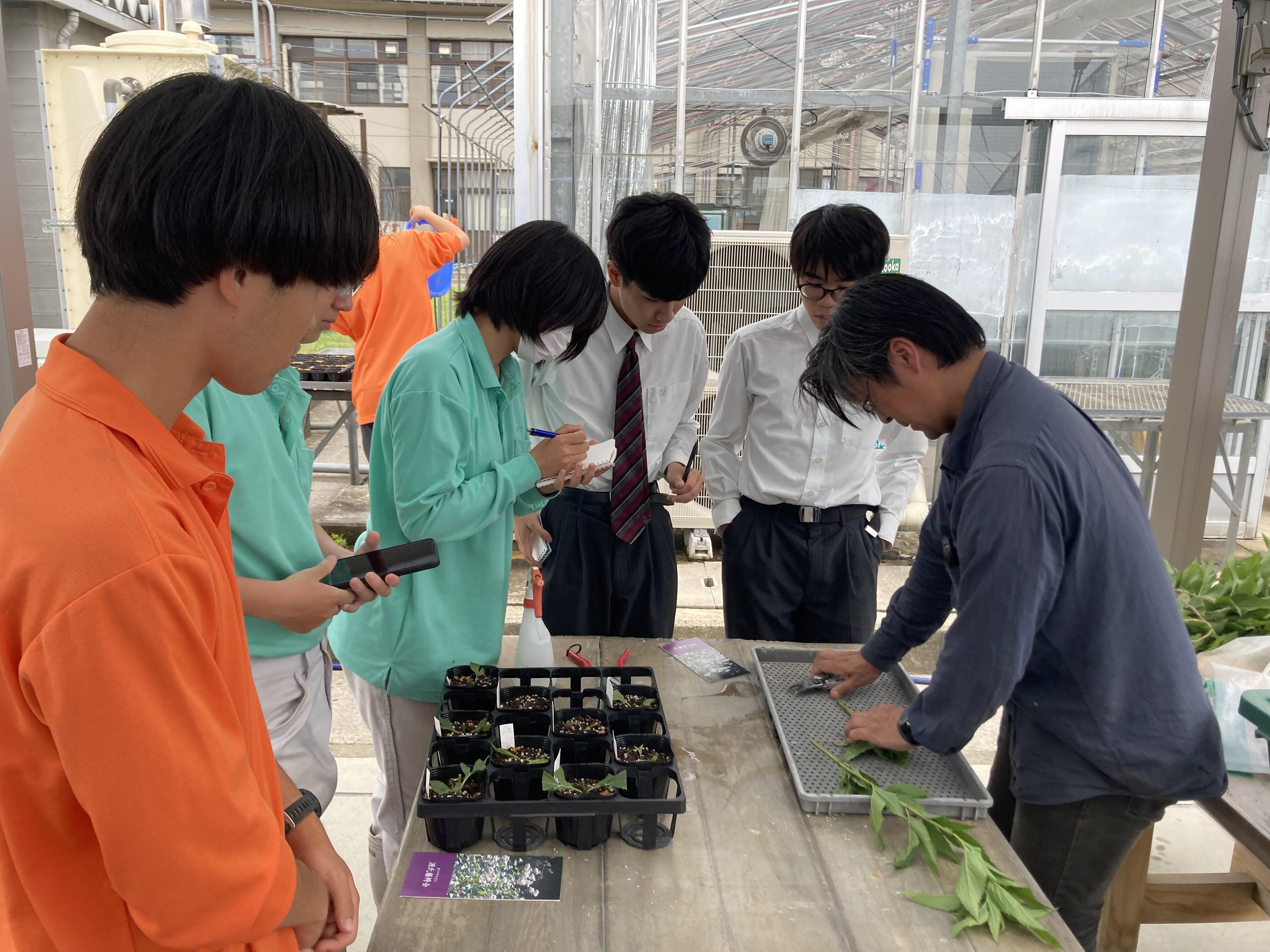 京都府立桂高等学校 | 学科紹介 : 専門学科ブログ